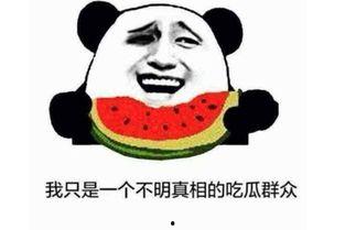 吃瓜群众啥字意,网络时代的围观力量