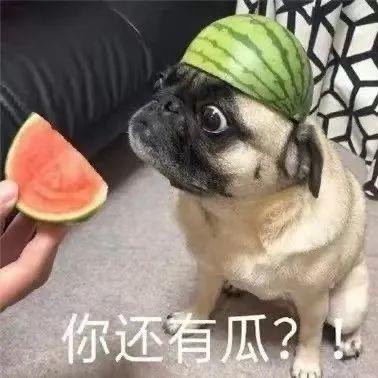 吃瓜路费,揭秘娱乐圈背后的经济秘密