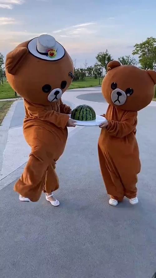 关于小熊的吃瓜,小熊的夏日吃瓜趣事