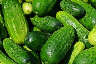 梦见吃麻包瓜,揭秘吃麻包瓜的神秘寓意