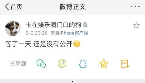 吃瓜有理爆料,娱乐圈幕后真相大曝光