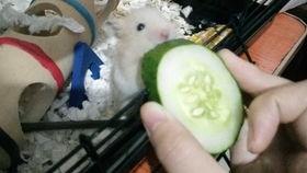 爱可可吃瓜视,带你领略娱乐圈幕后风云