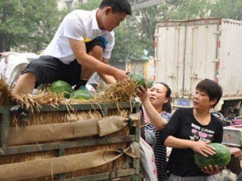 袁月开封吃瓜,一场吃瓜盛宴背后的故事