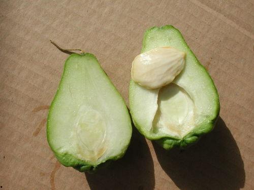 手套吃瓜视频,揭秘网络红人幕后生活