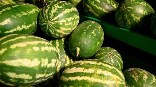 西昌12度吃瓜,尽享清凉吃瓜时光