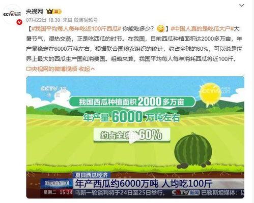 吃瓜大用户,揭秘网络热议背后的真相与趣味